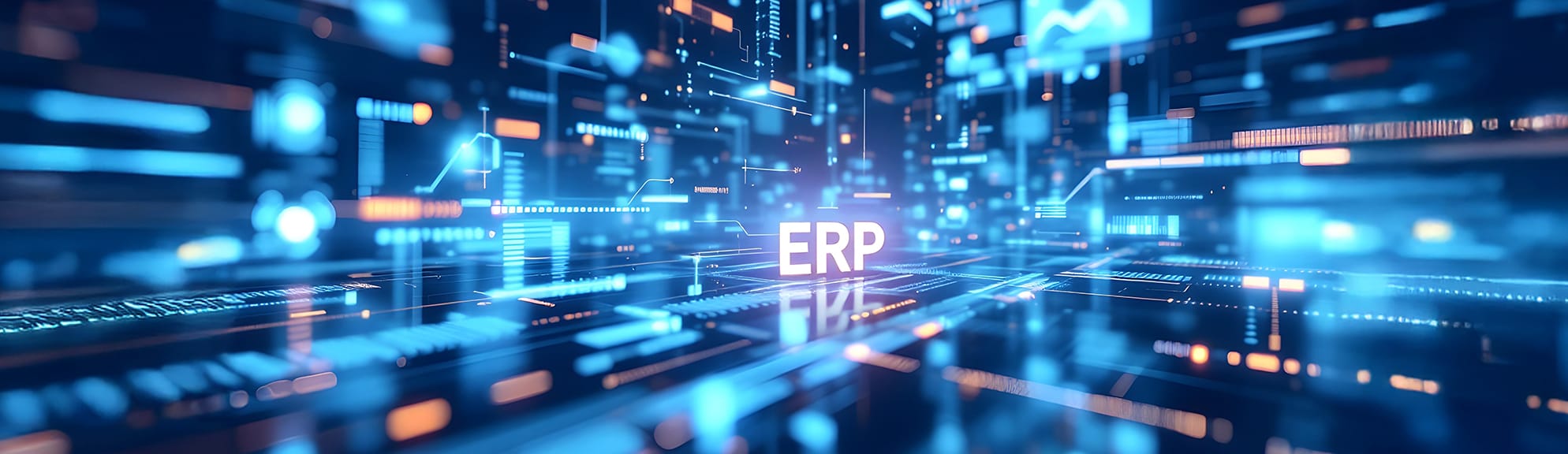 On-Premise ERP